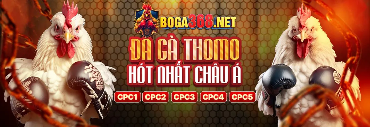 Các đặc quyền độc quyền dành cho thành viên VIP 77win1 chính thức